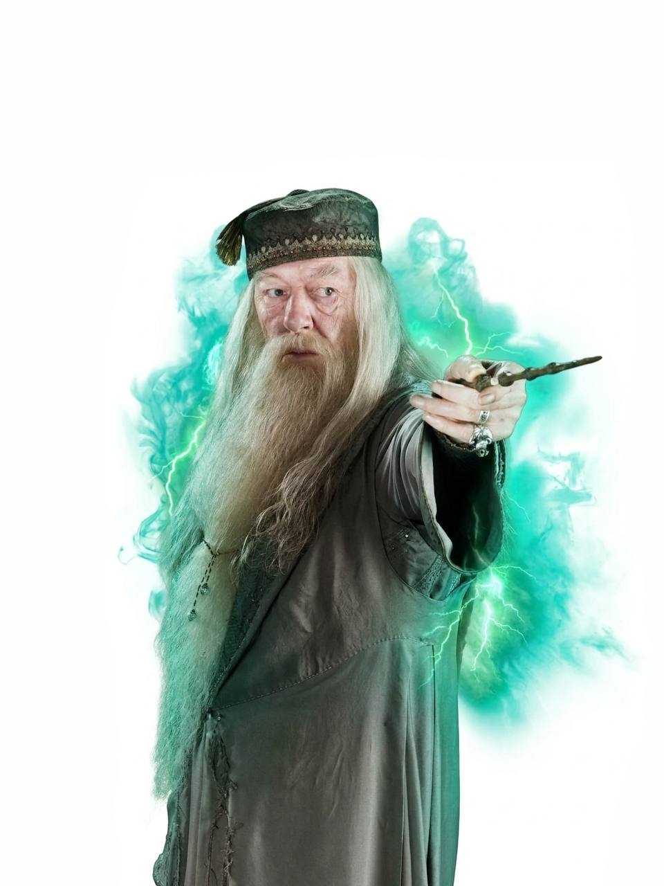 Harry Potter / Albus Dumbledore Wand Волшебная палочка Гарри Поттера / Альбуса Дамблдора Н